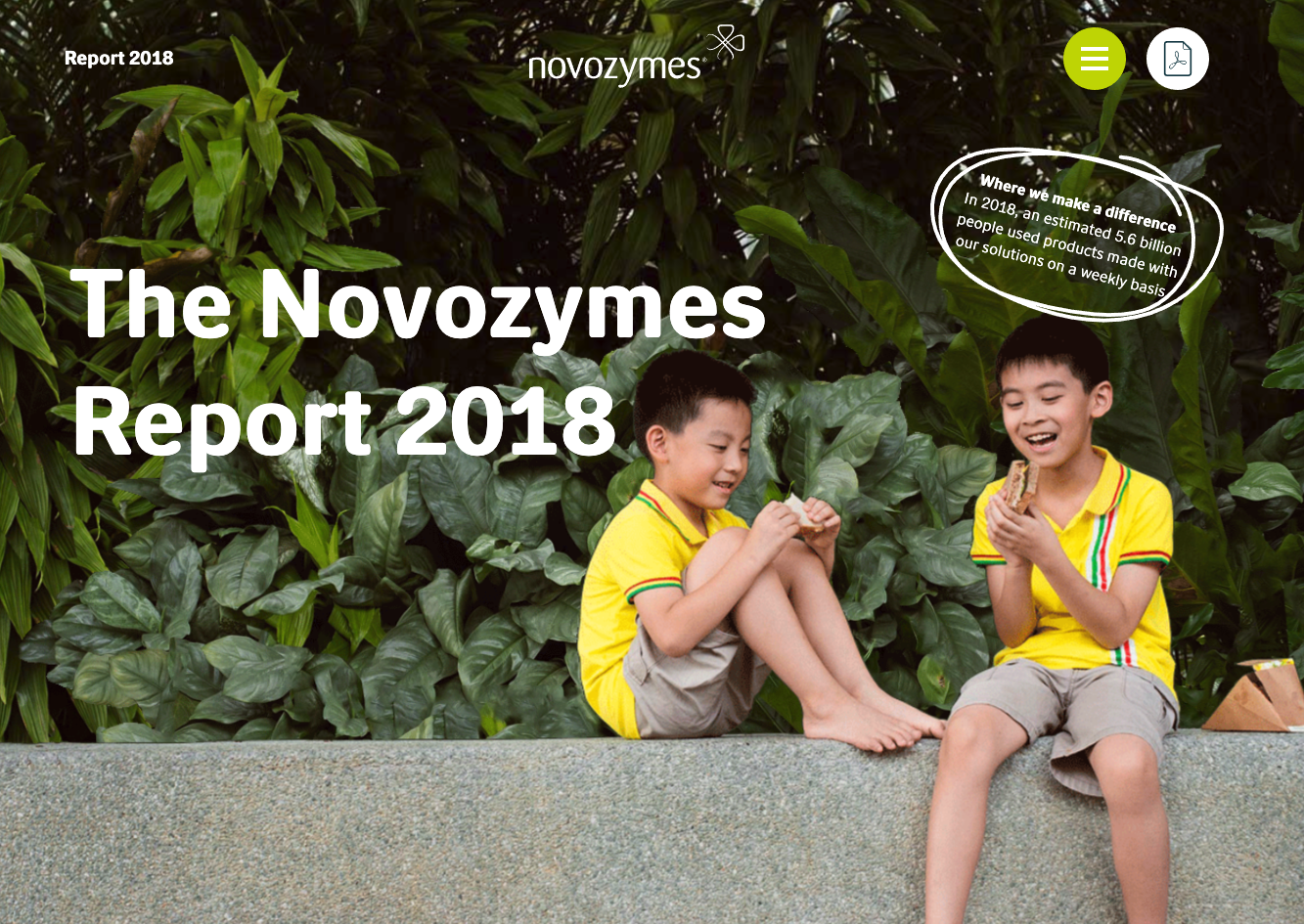 Screenshot of Novozymes AR 2018