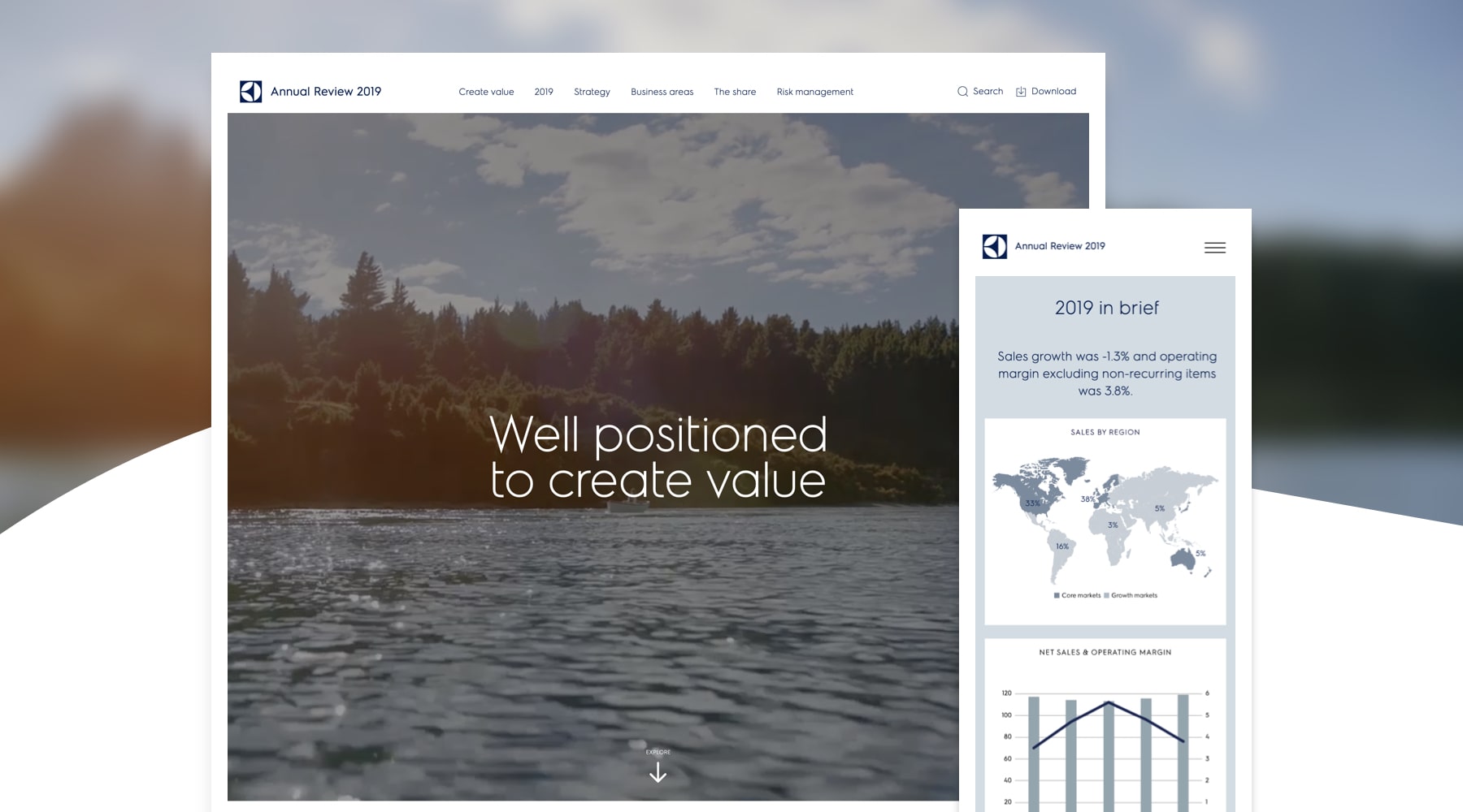 Screenshot of Electrolux's annual report