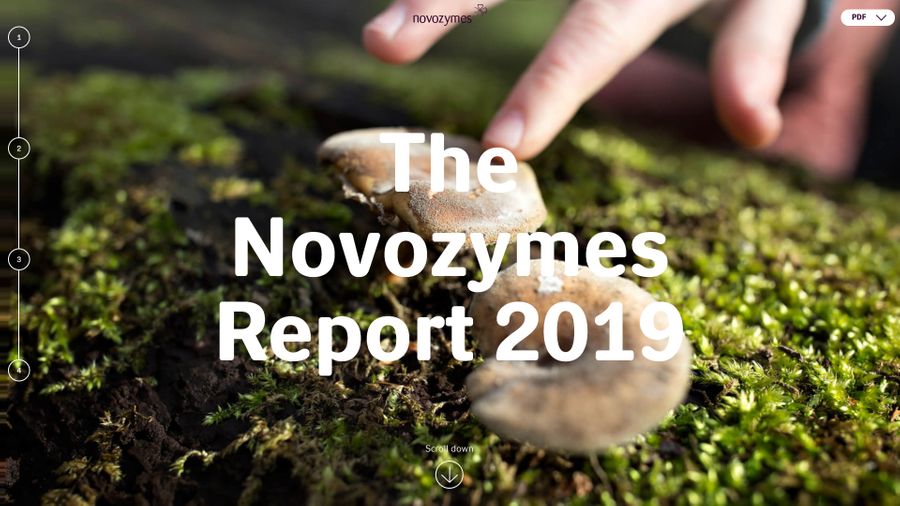 Screenshot of Novozyme's annual report
