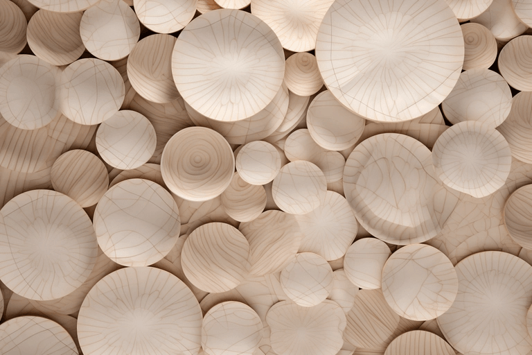 Close-up view of multiple smooth, round, beige wooden discs with visible natural grain patterns overlapping each other.