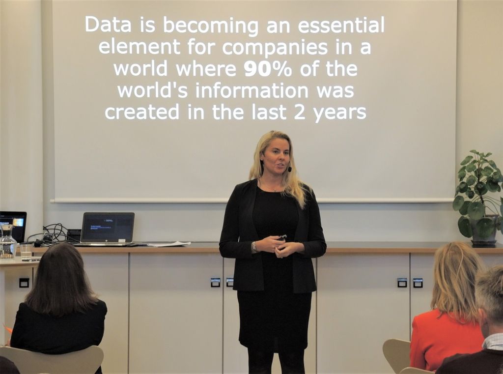 Ann Hellenius at Comprend event