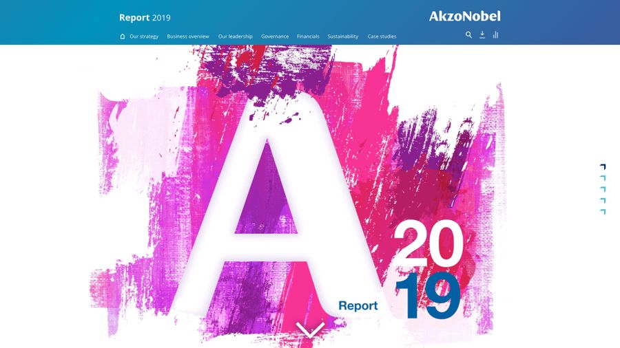 Screenshot of AkzoNobel's annual report
