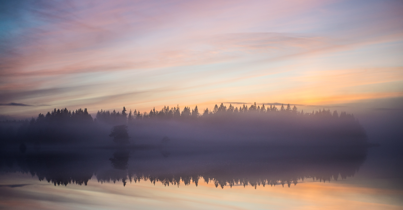 A serene sunrise over a mist-covered lake with silhouetted trees in the background and a colorful sky reflected on the calm water.